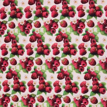 Dekodruck Matteo Himbeeren von Swafing